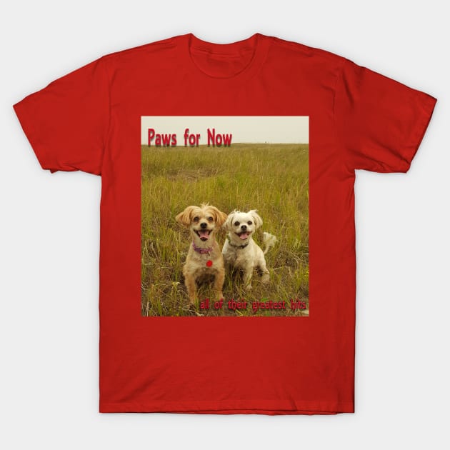 puppies in the field T-Shirt by Kaczmania